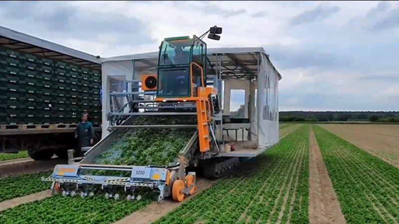 鱼用颗粒饲料机家用小型：揭秘高效养殖的秘密武器**